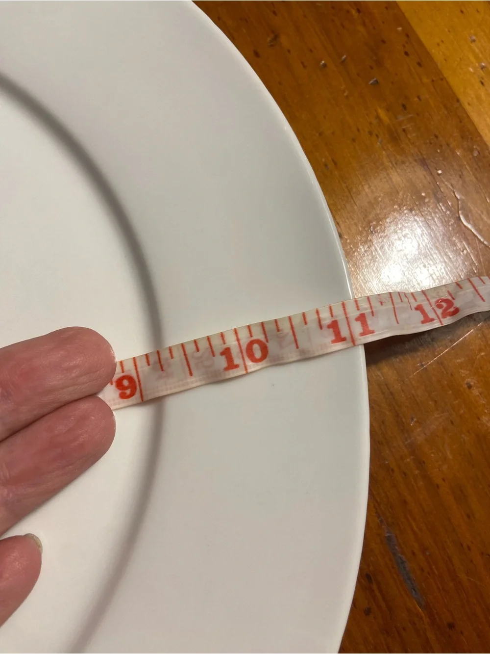 2 Food Network White Ceramic Dinner Plates -Simple Round Design, minor scratches